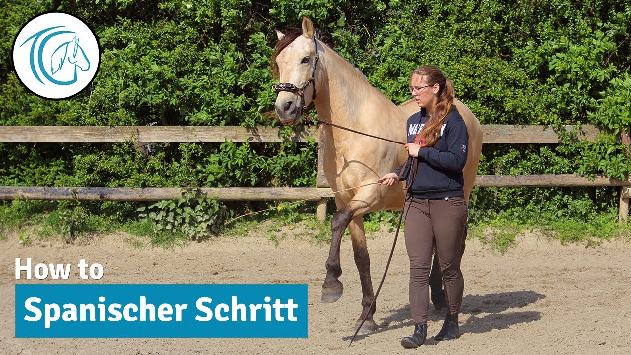Spanischer Schritt - So erarbeitest du ihn mit deinem Pferd