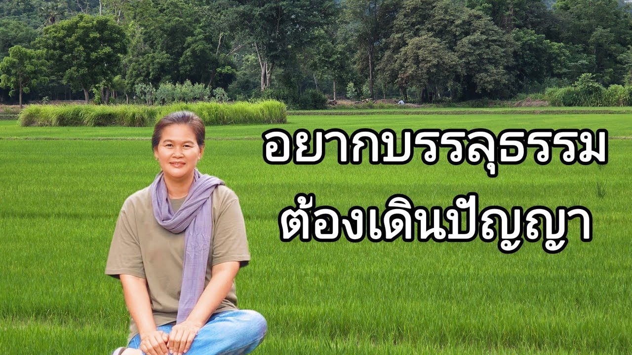 Ep.249อยากบรรลุธรรมต้องเดินปัญญา