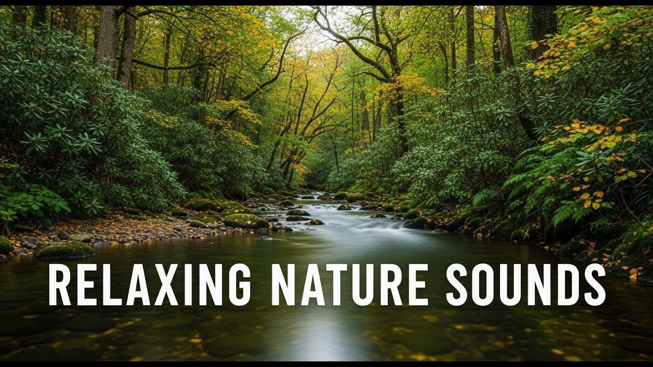 Forest River Soundscape 🎧 for Mental Reset – Deeply Soothing 100% Natural