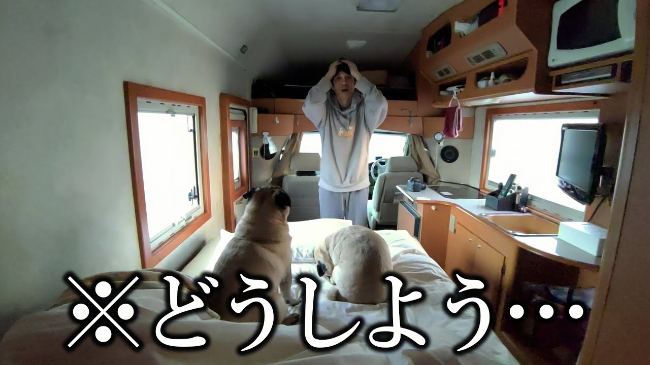 犬を飼って結婚願望を失った30代。車中泊する場所が見つからず困ったあげく