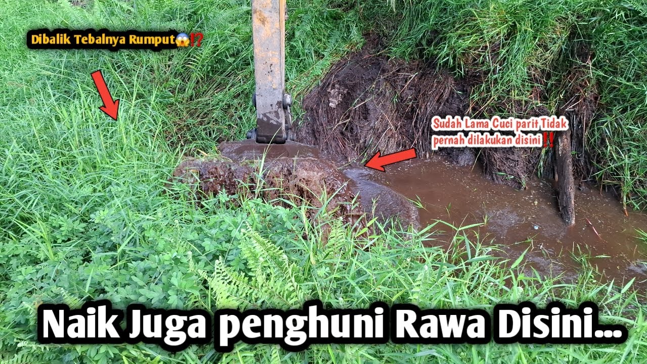 Naik juga penghuni Rawa Disini||Dibalik tebalnya Rumput😱⁉️Sudah lama Parit Tidak Dicuci disini‼️