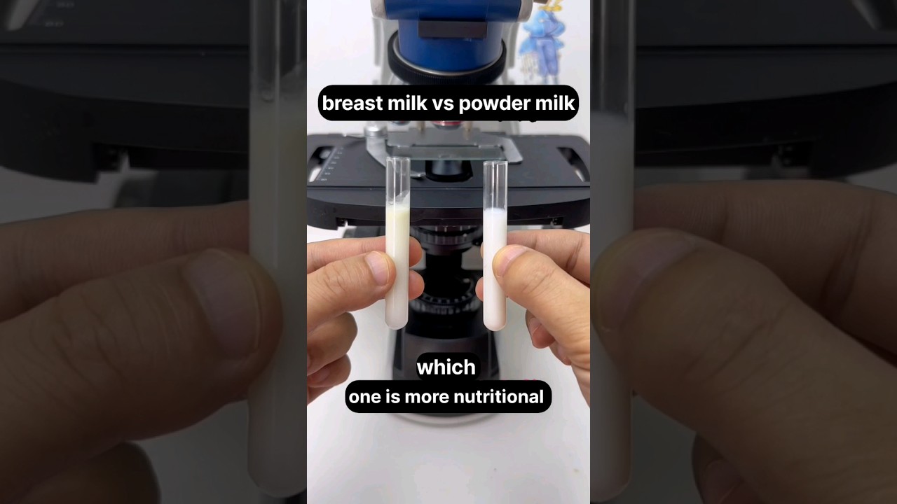 breast milk vs powder milk #underthemicroscope #science #microscope #microscopeview #shortvideo