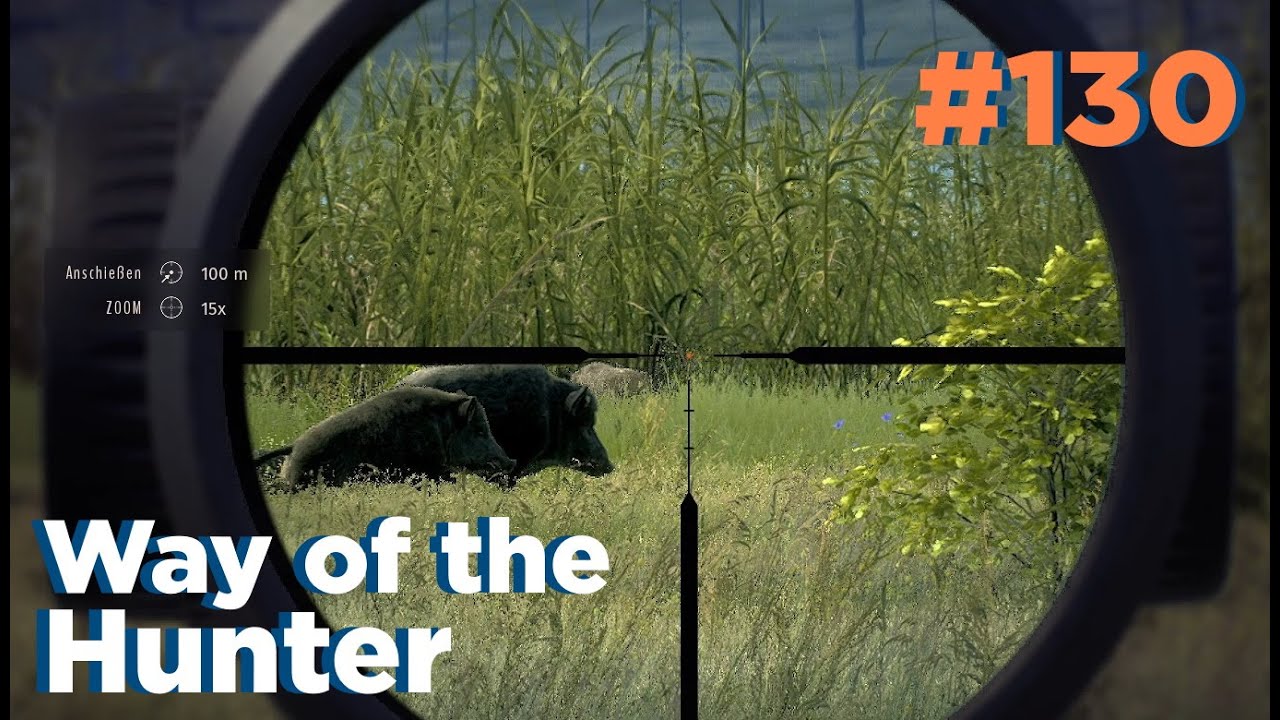 Ein Zwischenfall mit Goldschakalen - Way of the Hunter #130