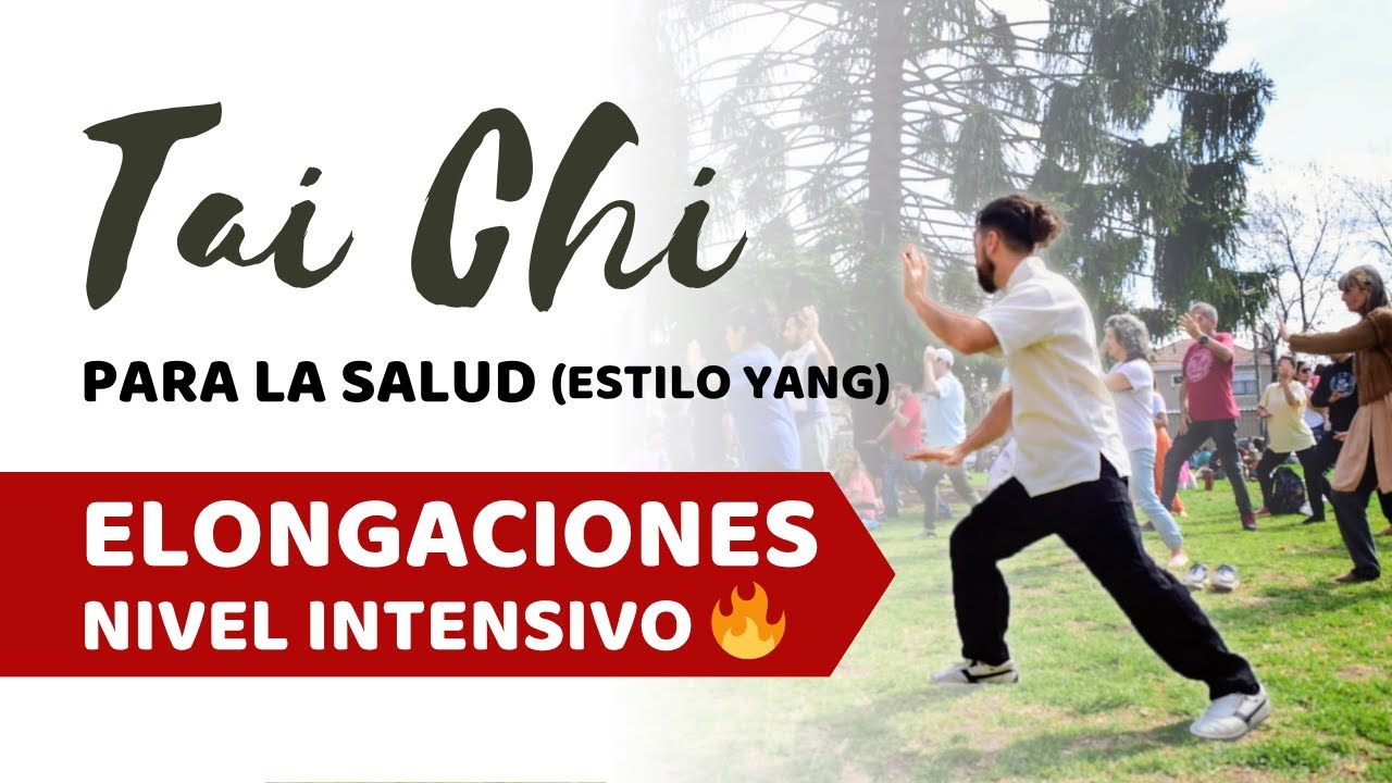 TAICHI Las 7 estrellas - NIVEL INTENSIVO - Elongacion ☯️ PARTE 2