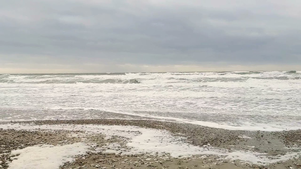 Atlantic Ocean walk.🌊🌊🐚