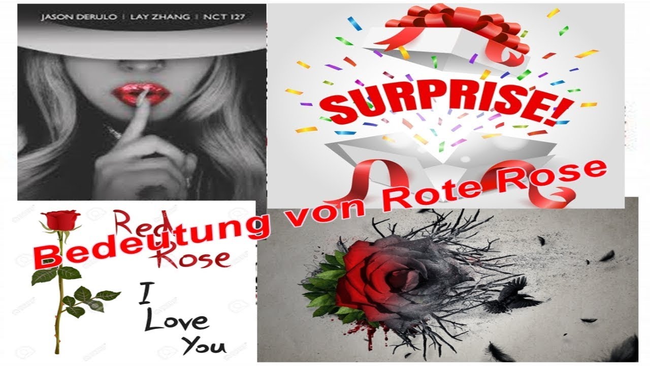 Bedeutung von rote Rose