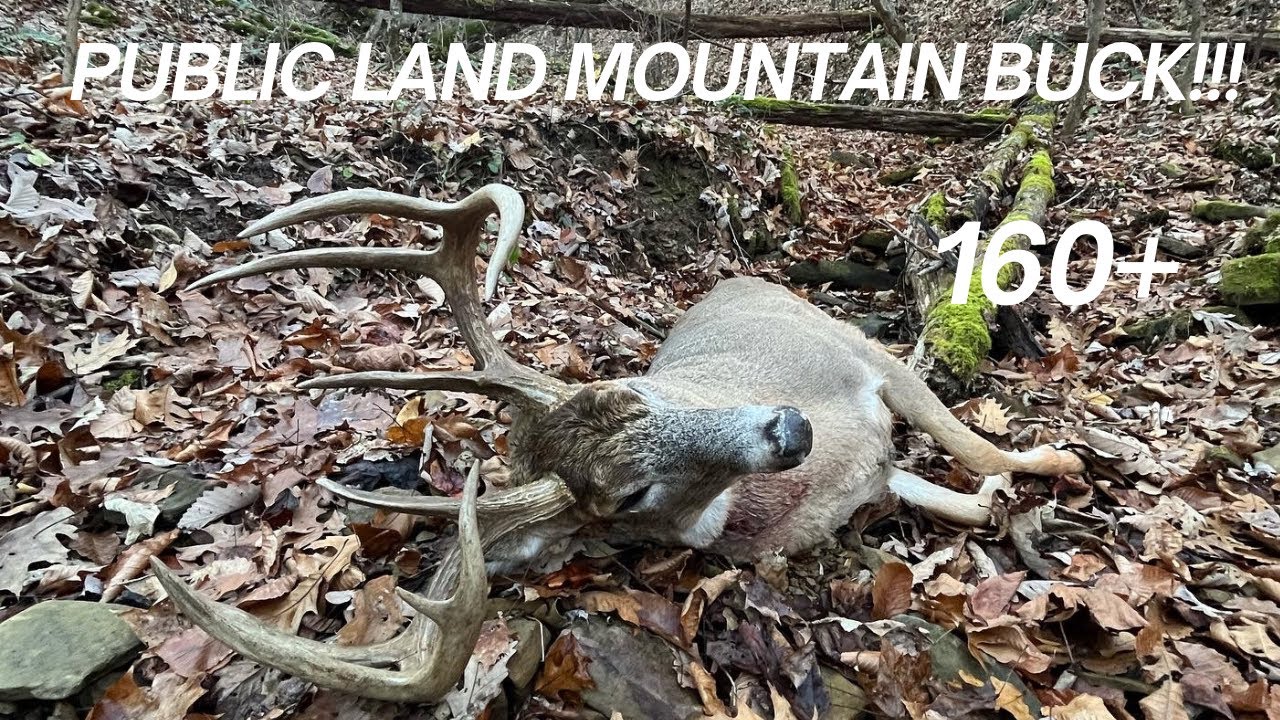 Ohio Public Land | Self Filmed Archery Buck