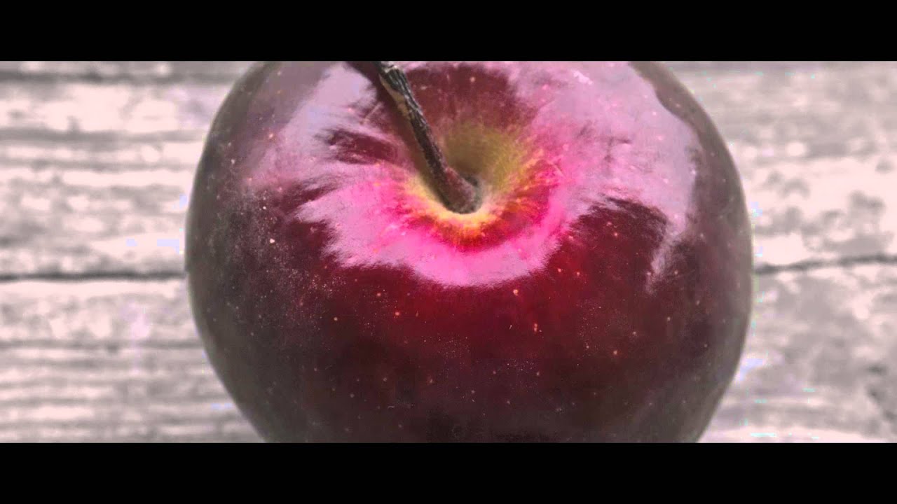 Teaser: The Giver