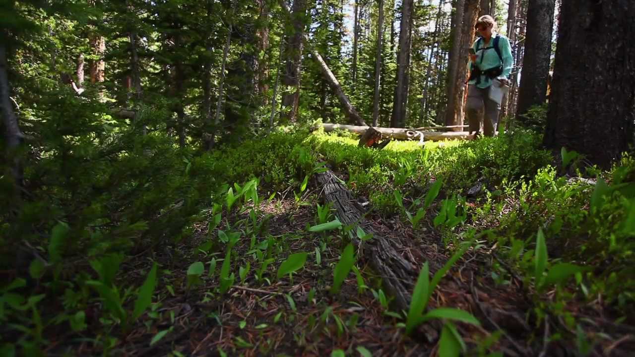 Climate Change & High Elevation National Parks