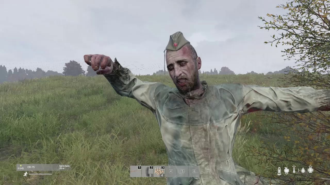 DayZ 1.04 - Equipped Infected