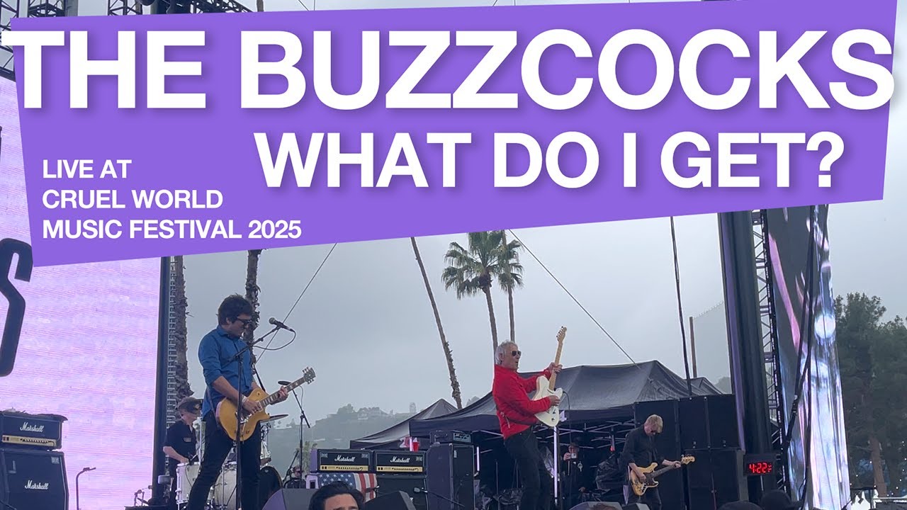 The Buzzcocks 