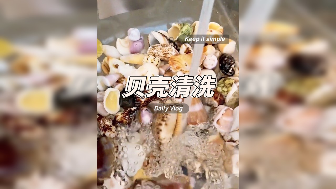贝壳清洗｜解压小视频来啦