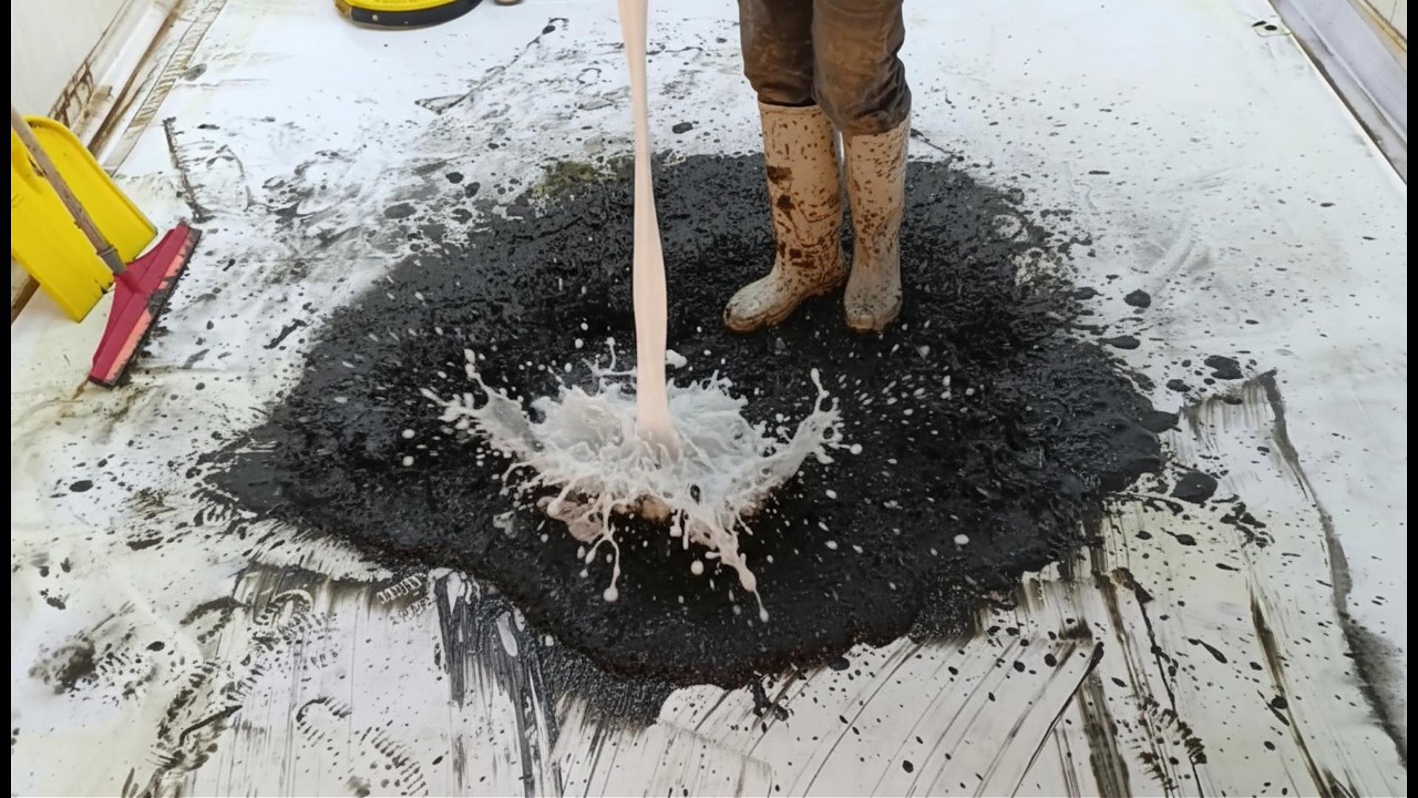 Cleaning a super dirty floral carpet - Relaxing ASMR sounds / The best way to clean a carpet