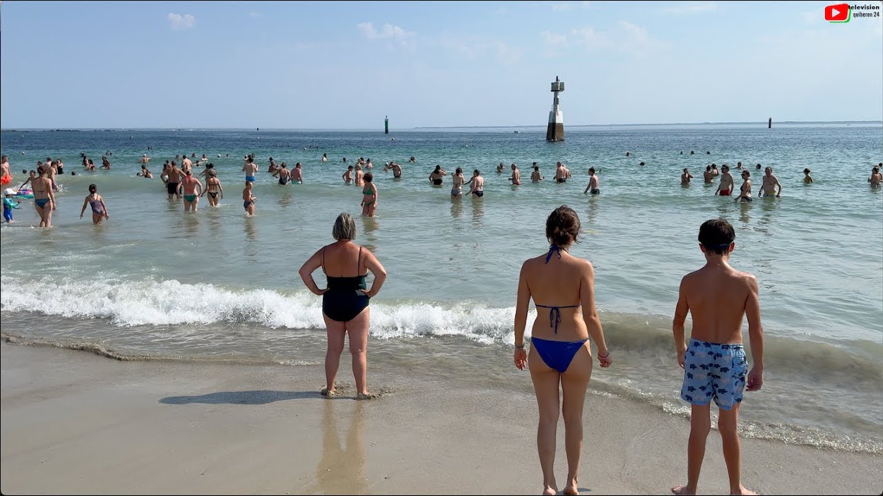 QUIBERON  🇲🇫 |  They Swim in Brittany  |  Quiberon 24 TV