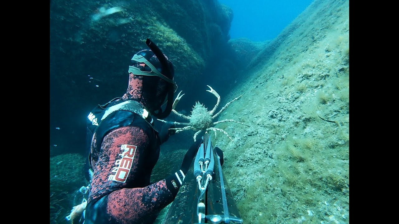 Pesca sub   :    ✴ 04 Maggio 2020❗(Sud Sardegna)
