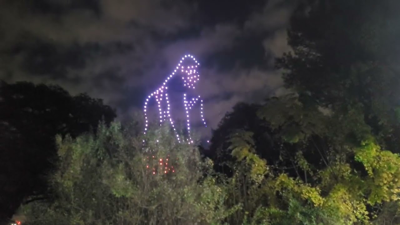 San Antonio Zoo's Congo Falls is kicking off the weekend with a pre-opening drone show #zoo #satxzoo