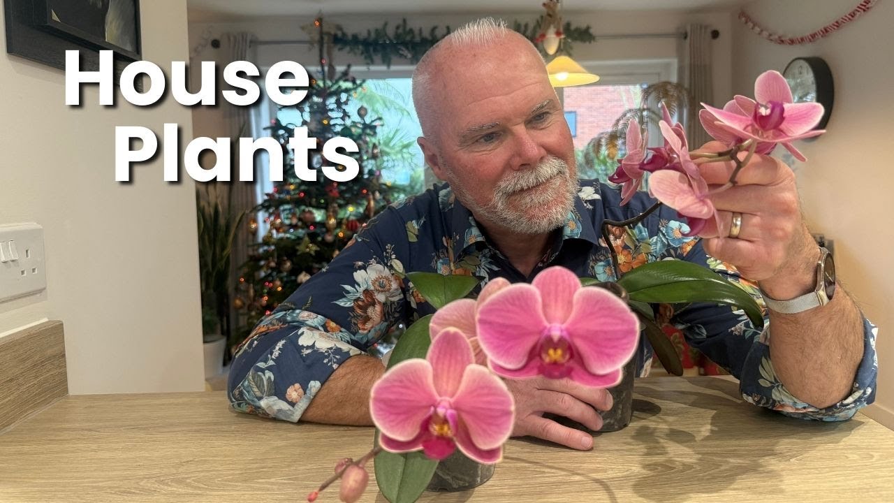 My Top 10 Houseplants 2026 | Must Have Common and Uncommon Indoor Plants