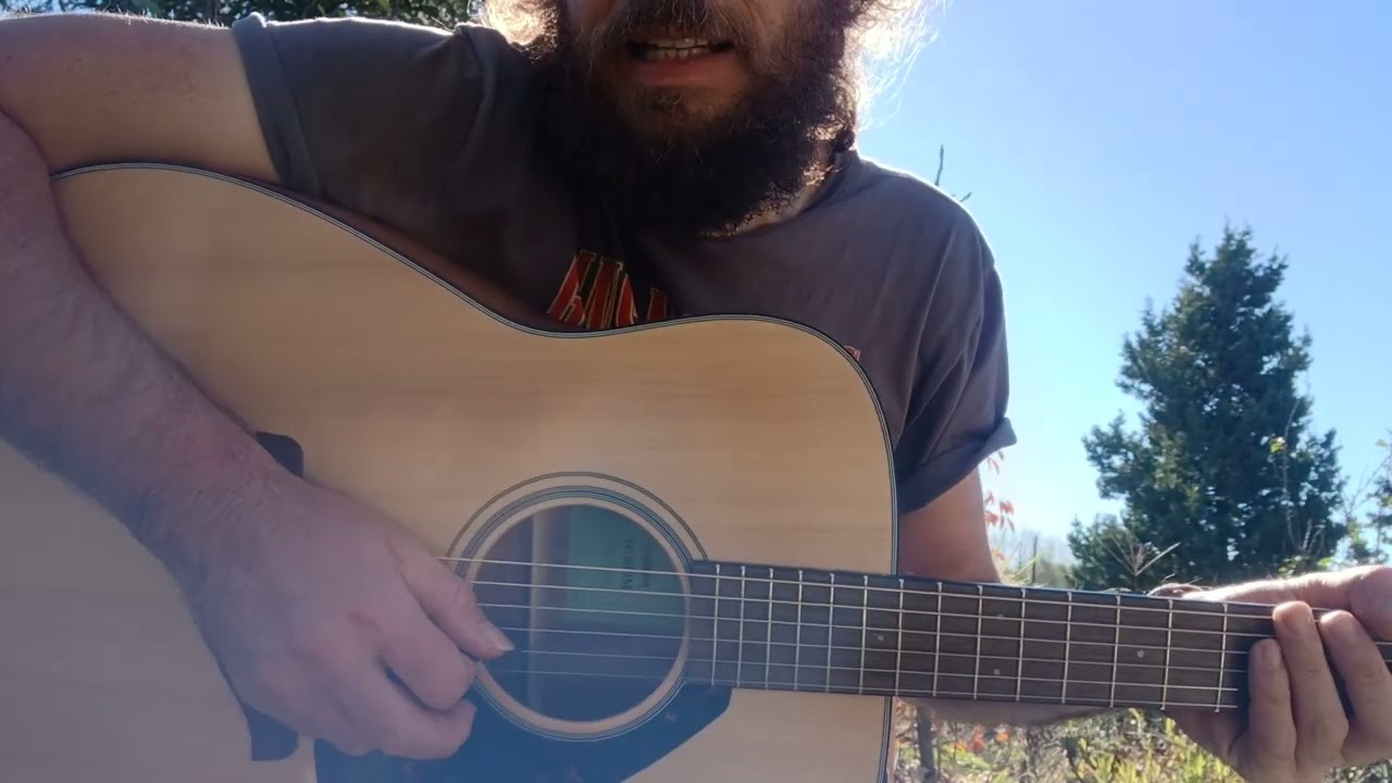 Apaches - The Shadows - ricostituente chitarristico 