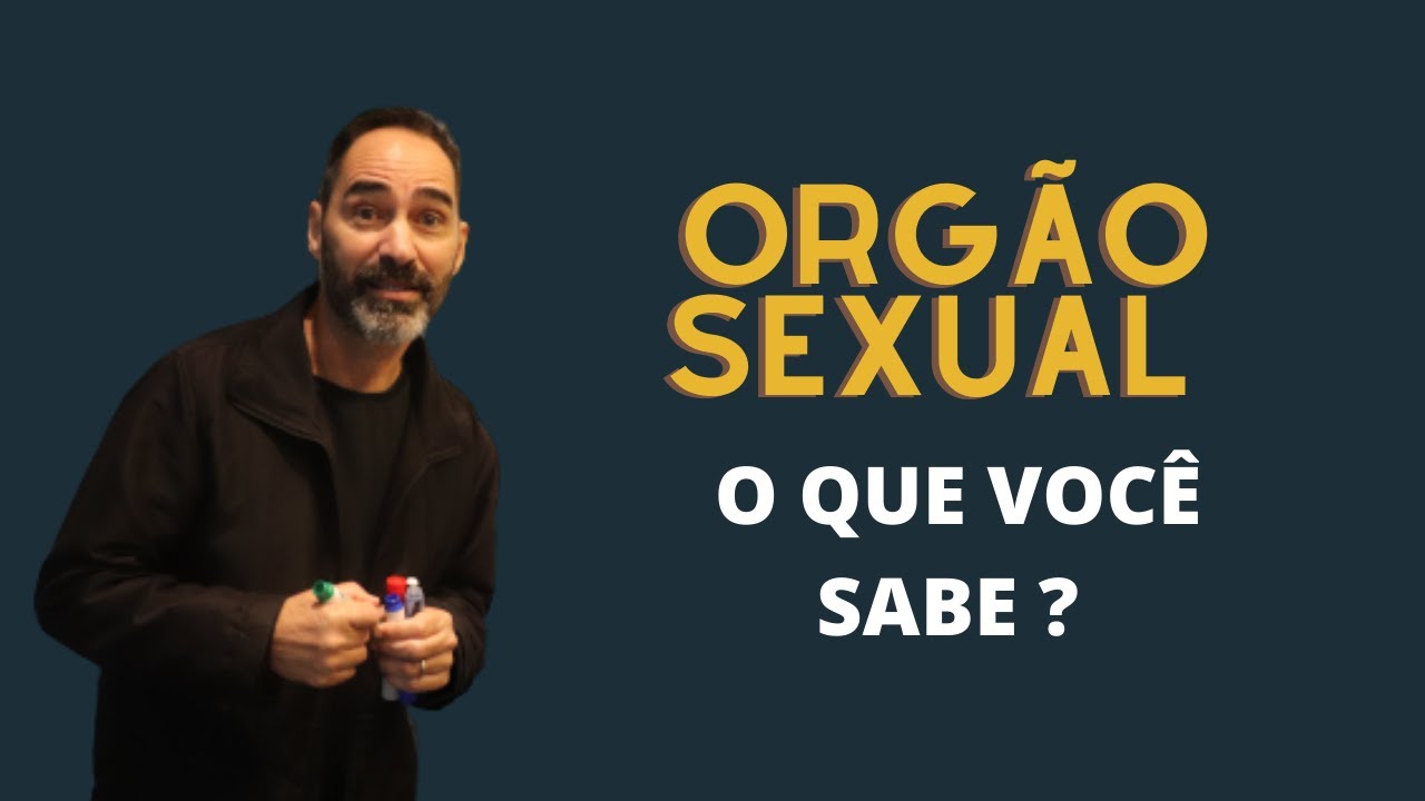 QUAL O PRINCIPAL ÓRGÃO SEXUAL?