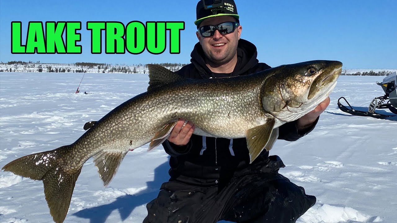 Ice Fishing for HUGE Lake Trout on Cree Lake Day 1 & 2