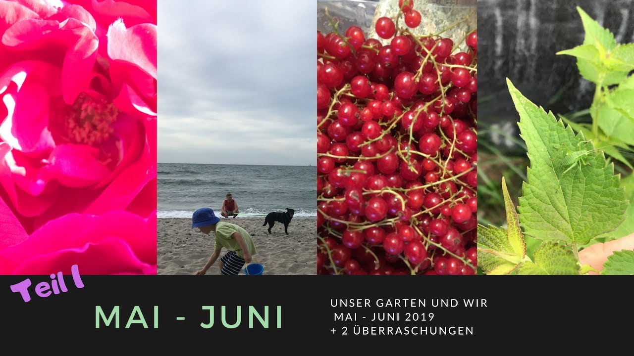 Unser Garten Mai - Juni '19 Teil 1