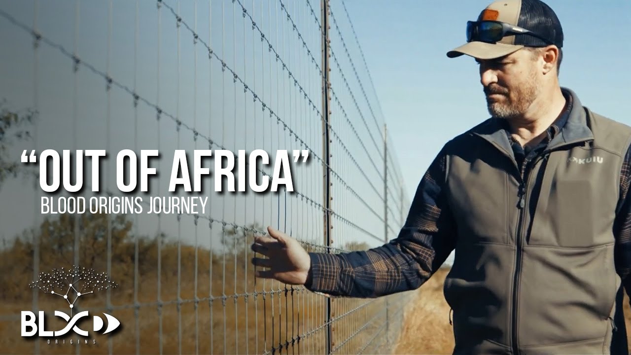 Out Of Africa