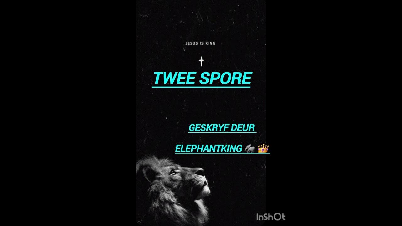 Twee spore-lied wat ek geskryf het, wysie en stem is [AI].