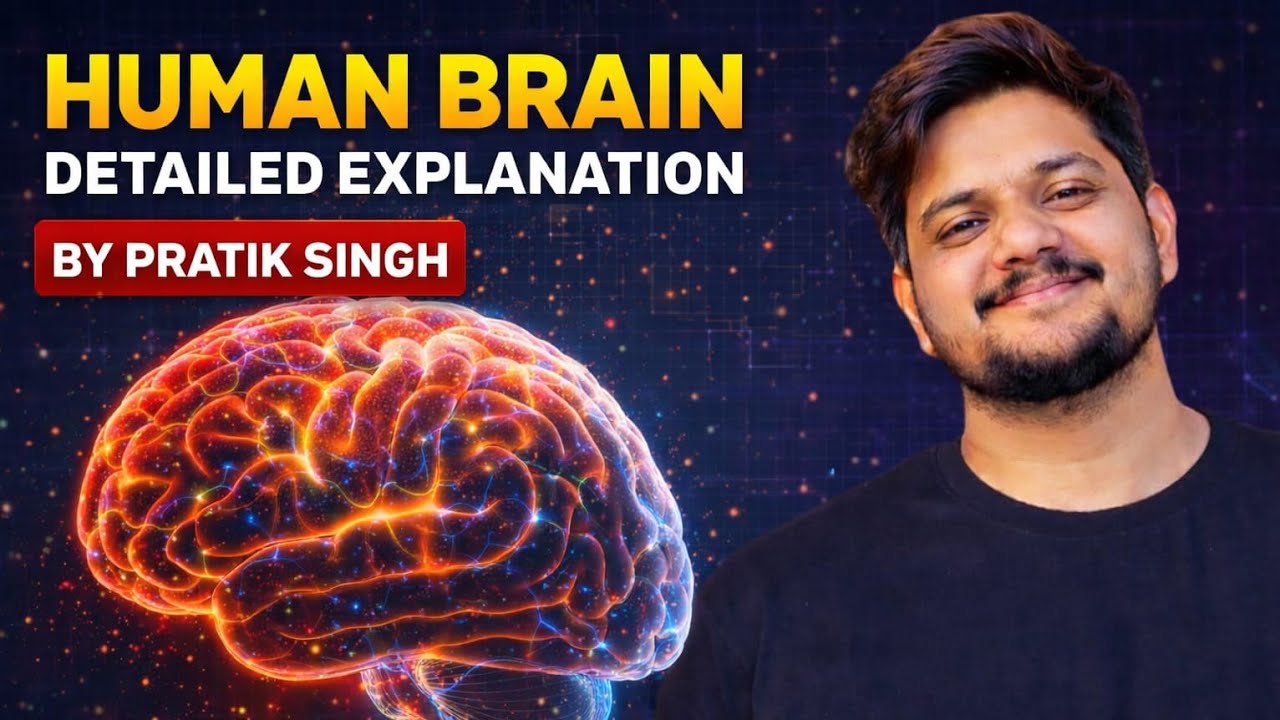 The Human Brain 🧠 | Neural Control and Coordination | 11th Class | NEET