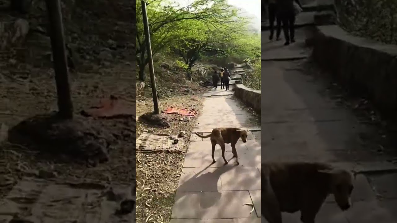taragarh ki chadhai