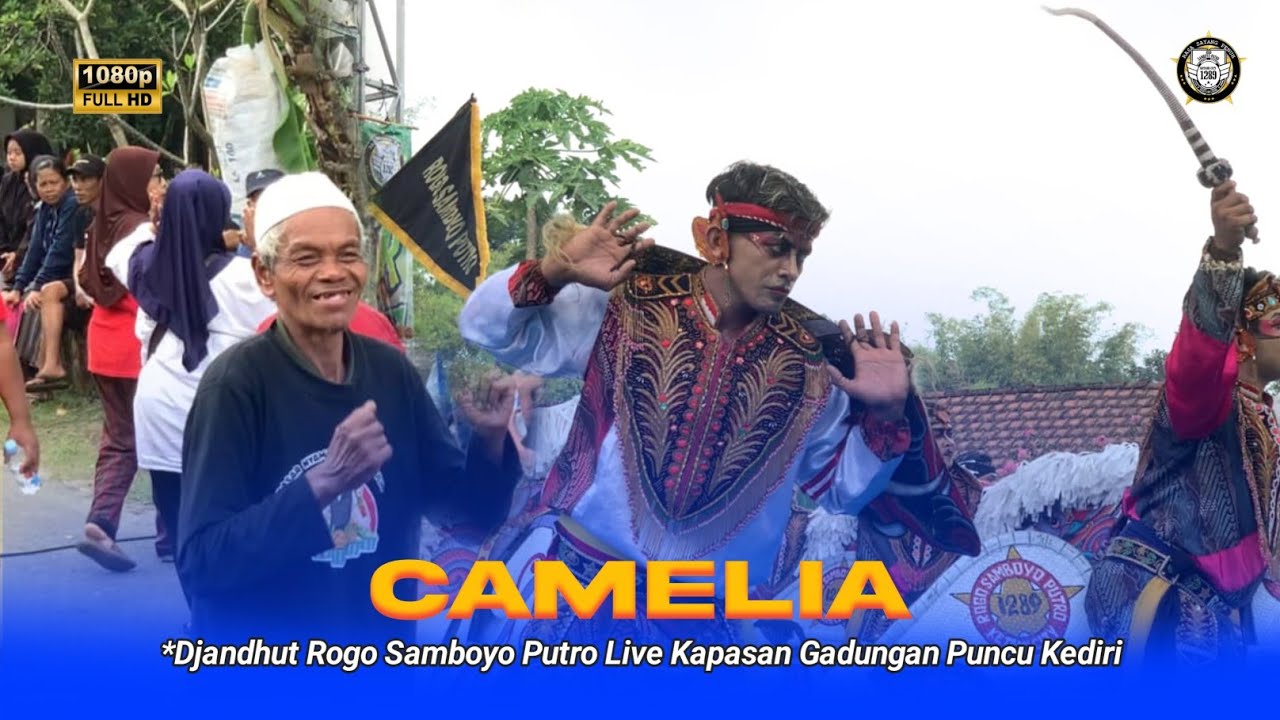 VIRAL ❗❗SOGOK KERIH KERIH - CAMELIA DJANDHUT ROGO SAMBOYO PUTRO LIVE PUNCU KEDIRI FT PELANGI AUDIO