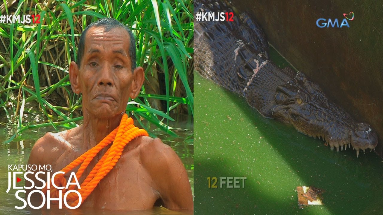Kapuso Mo, Jessica Soho: Kilabot ng mga buwaya