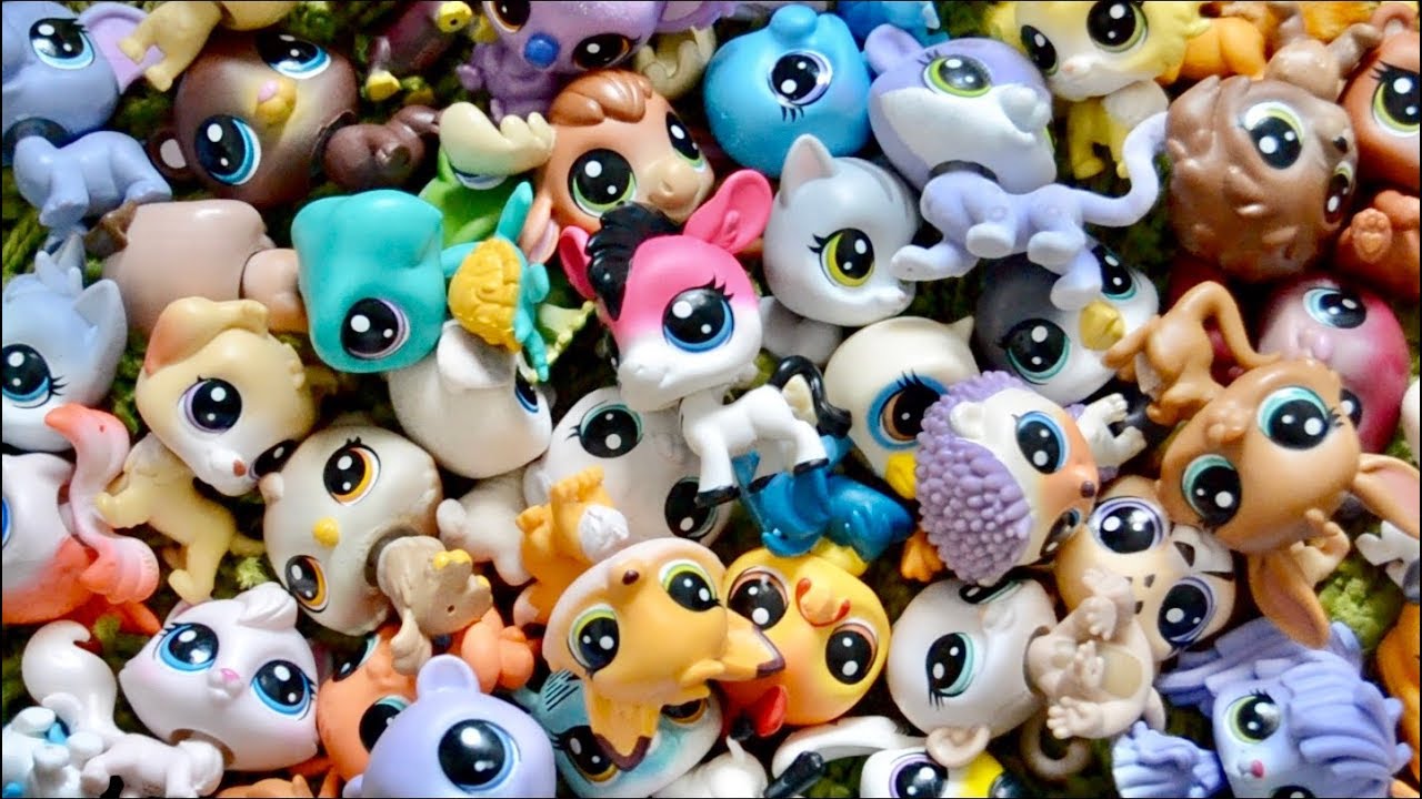 My G5 & G6 Littlest Pet Shop Collection!