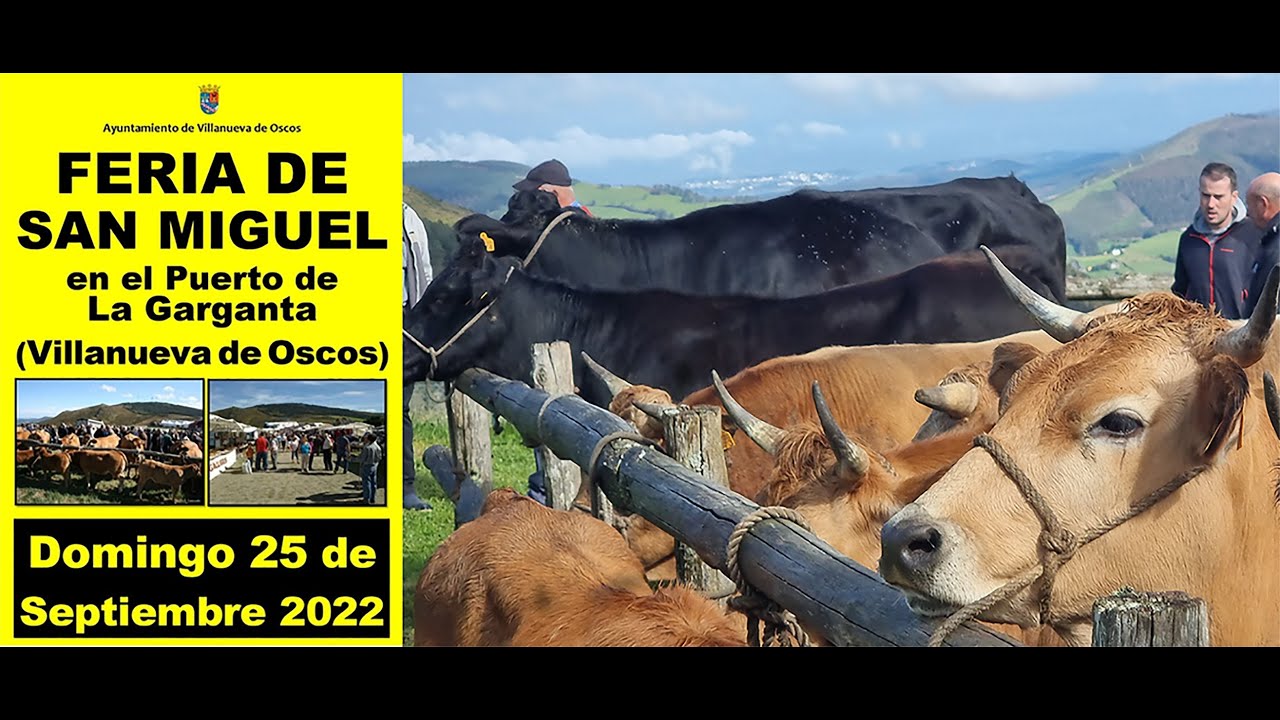 ASTURIAS. VILLANUEVA DE OSCOS. Feria de San Miguel en el Puerto de la Garganta, 2022.