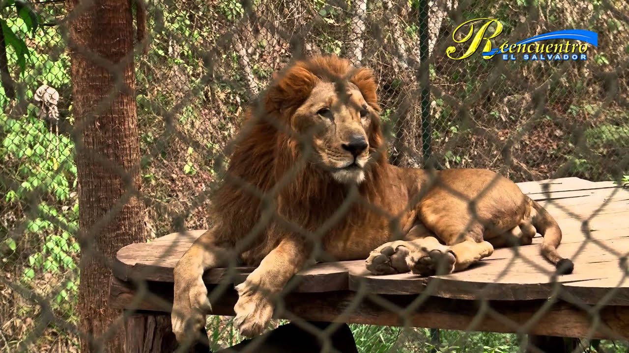 Furesa, Jayaque, La Libertad, El Salvador