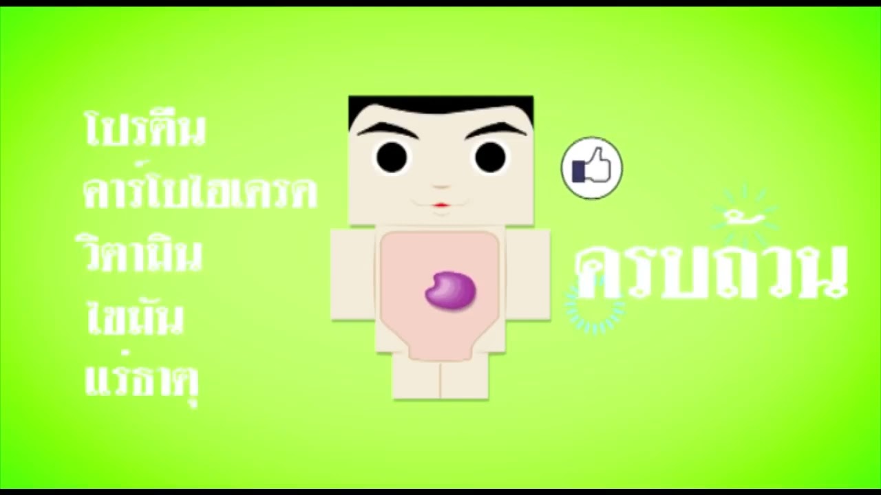 นาฬิกาชีวิต เข็มทิศสุขภาพ