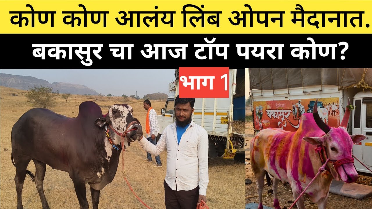 कोण कोण आलंय लिंब ओपन मैदानात भाग 1