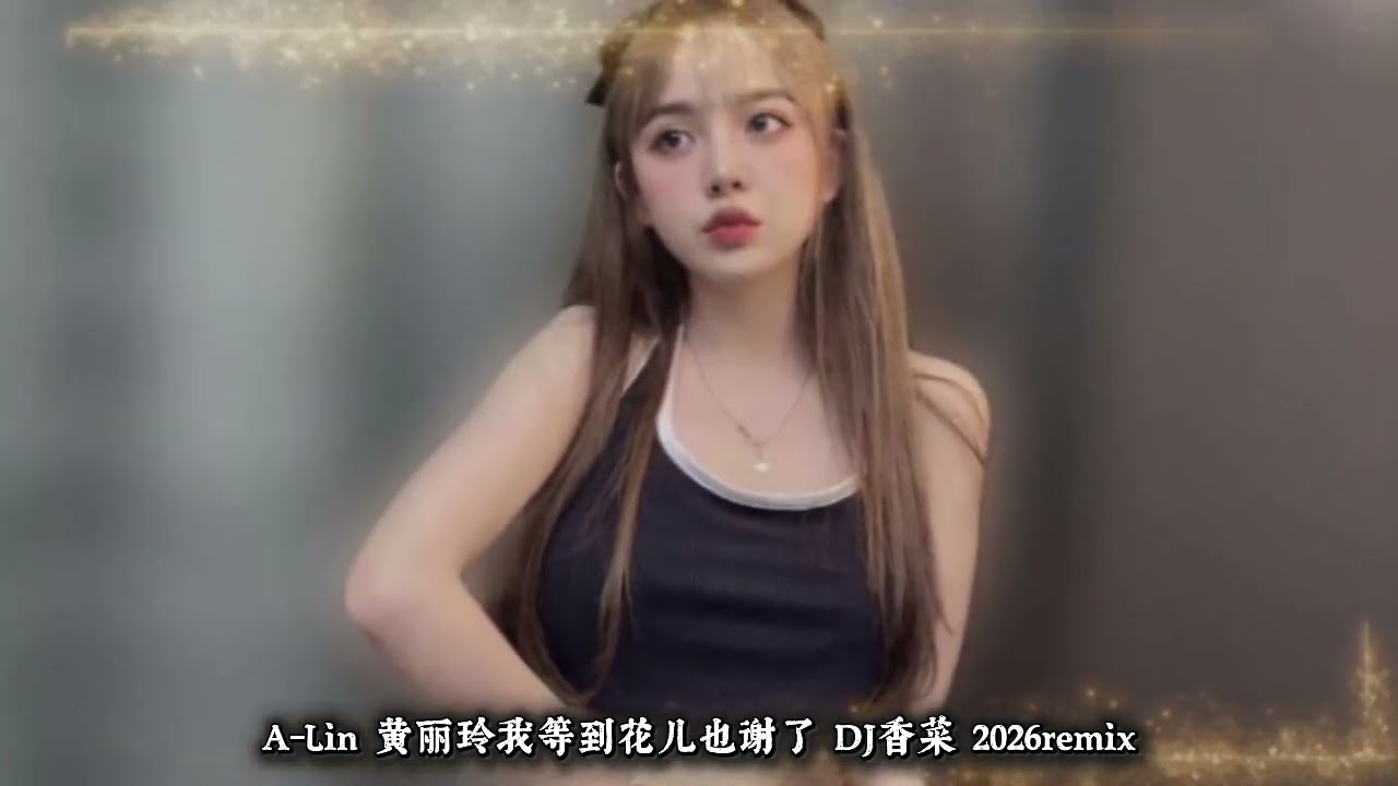 A-Lin 黄丽玲我等到花儿也谢了 DJ香菜 2026remix