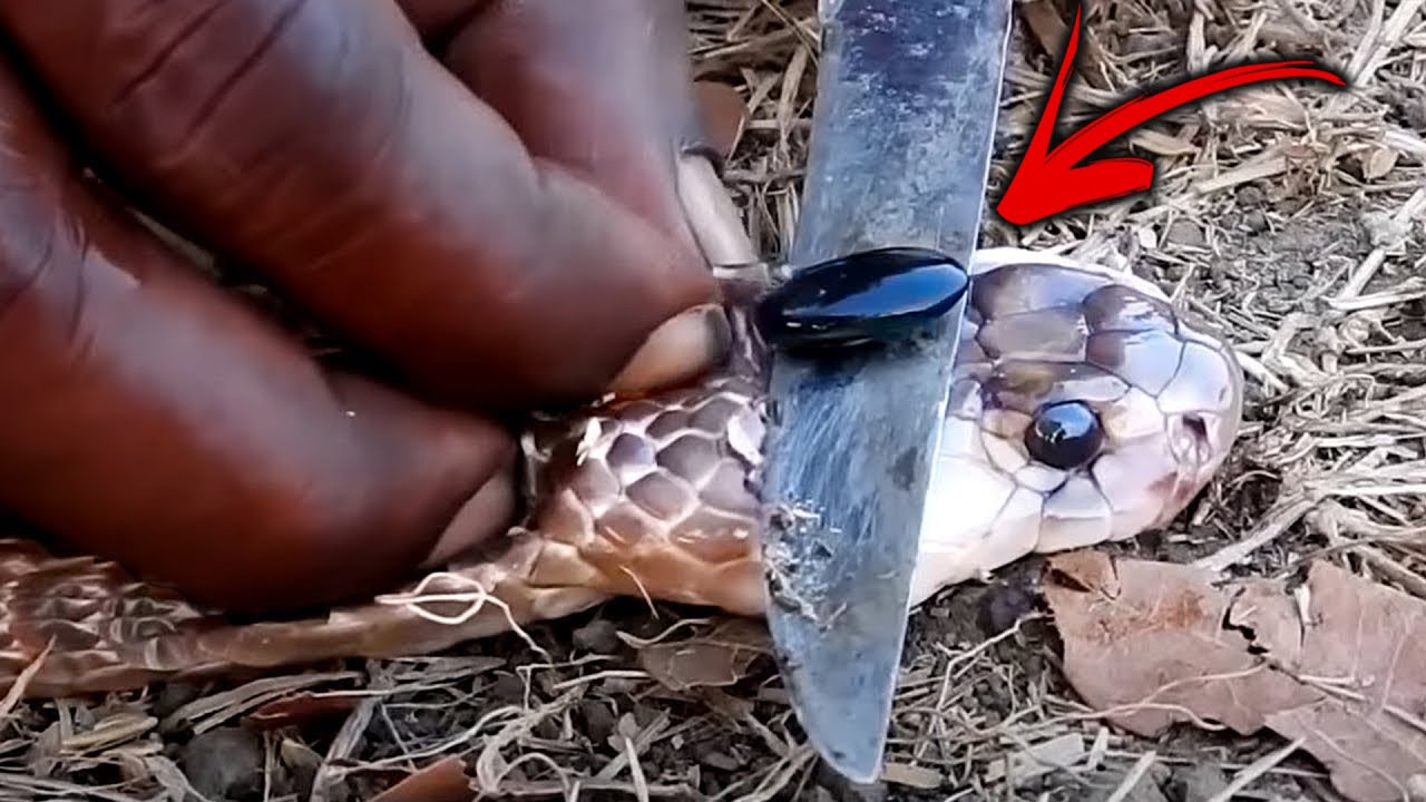 12 Viên Đá HIẾM Nhất Thế Giới, Không Thể Tìm Thấy Viên Thứ 2 | Phải Thấy Mới Tin Được - Tập 3