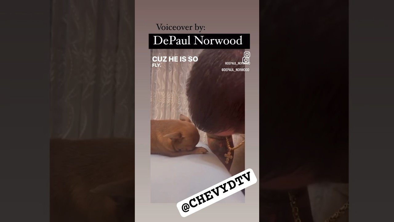 TALKING BOUT LIVING YOUR BEST LIFE! Y SHE BLUSHING🐕 #chevydtv #funny 😂🤣😂😂😁😁😁