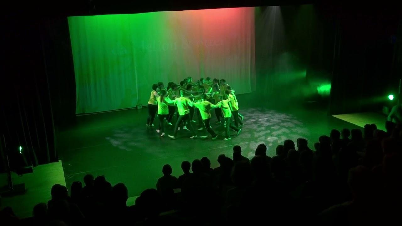 The Lost Words (SWBGS Year 7 Dance Project)