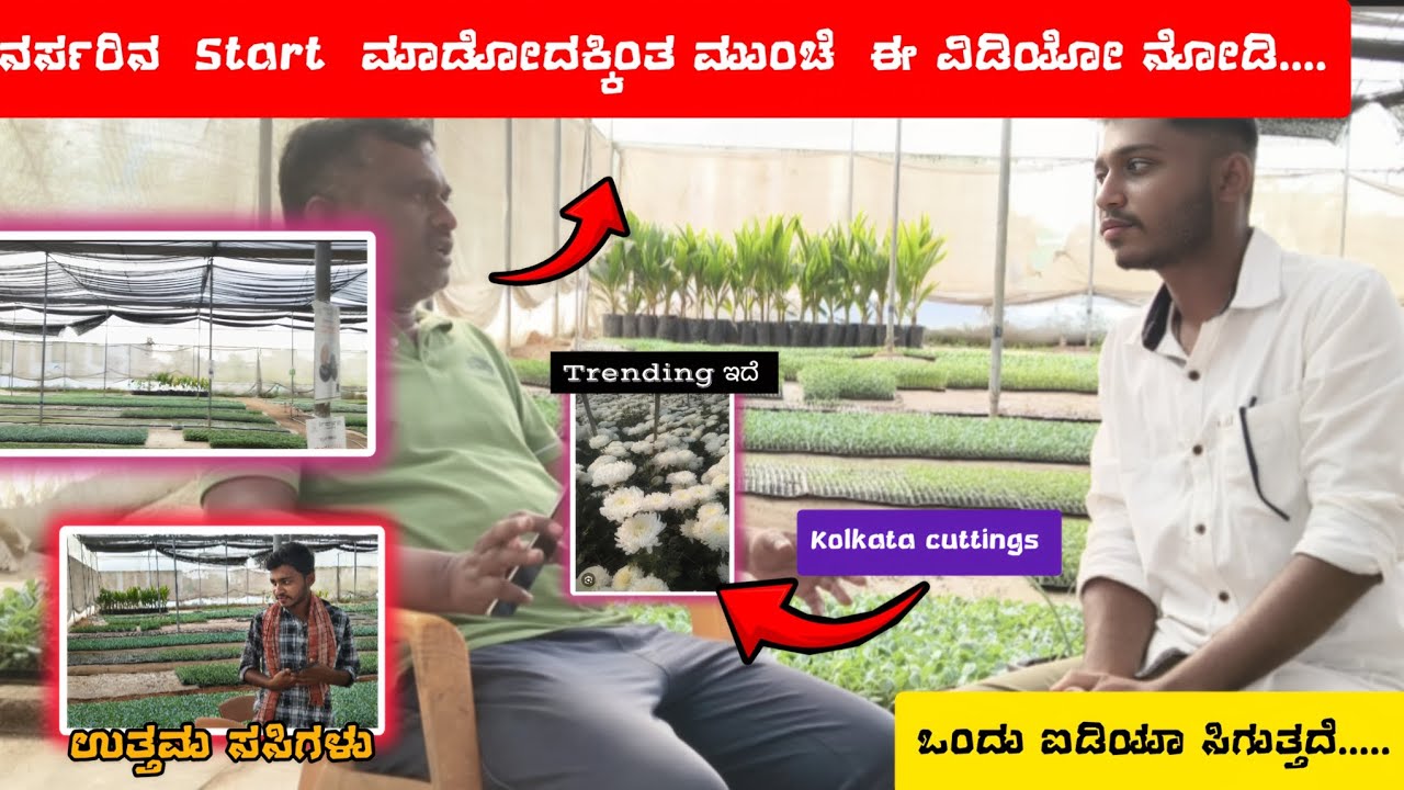 Nursery ಸ್ಟಾರ್ಟ್ ಮಾಡುವ ಯುವಕರು ನೋಡಲೆ ಬೇಕಾದ ವಿಡಿಯೋ ನರ್ಸರಿ ಮೂಲಕ ಆದಾಯ💰23 ವರ್ಷದಿಂದ ನರ್ಸರಿ | ಇವರ ಅನುಭವ ✨.