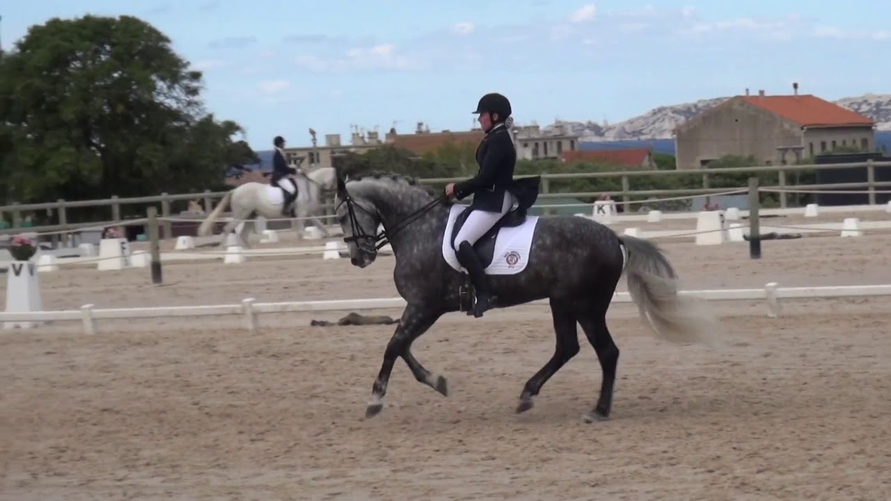 REPRISE DE DRESSAGE | Reprise PSG Commentées par Isabelle Judet – Juge 5* Internationale
