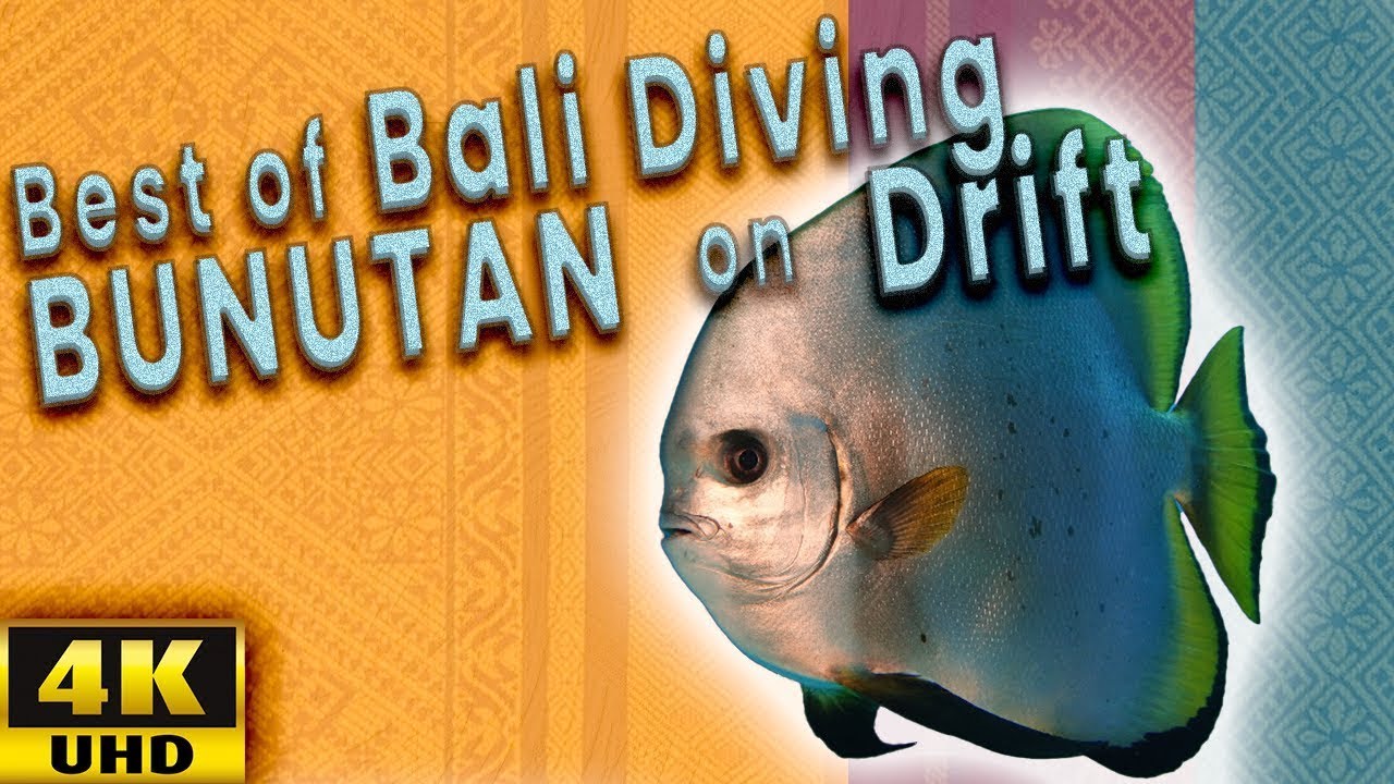 15 Minutes of Pure Action: Bunutan’s Best Diving Highlights (Bali)