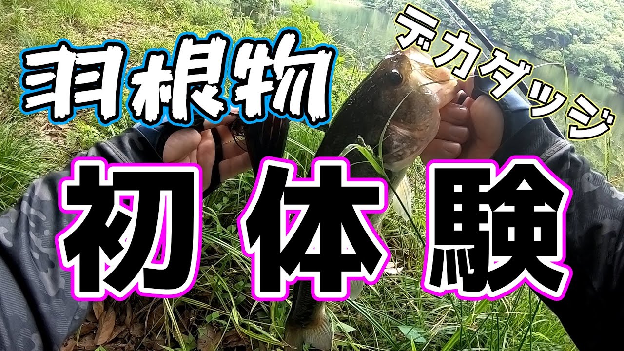 【デカダッジで遊びたい】羽根物初体験【ビッグクローラーベイト】