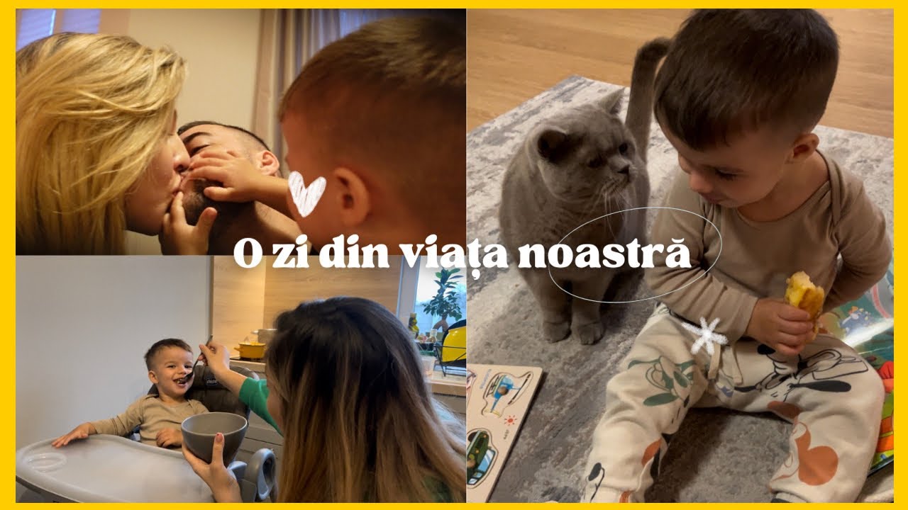 CUM ARATĂ O ZI NORMALĂ DIN VIAȚA NOASTRĂ 🤯🤪😂