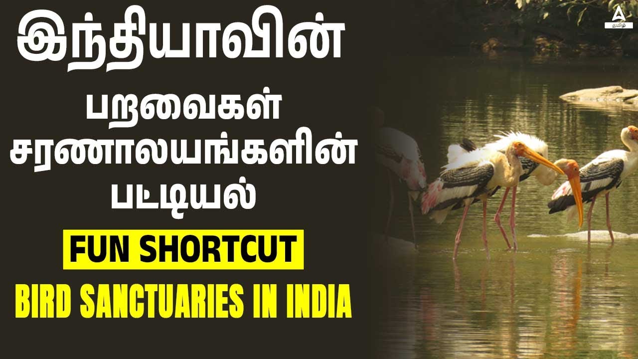 Bird Sanctuary of India and Tamil Nadu In Tamil l Kutty shortcut🙋‍♀️ | TNPSC l Banking l SSC l RRB