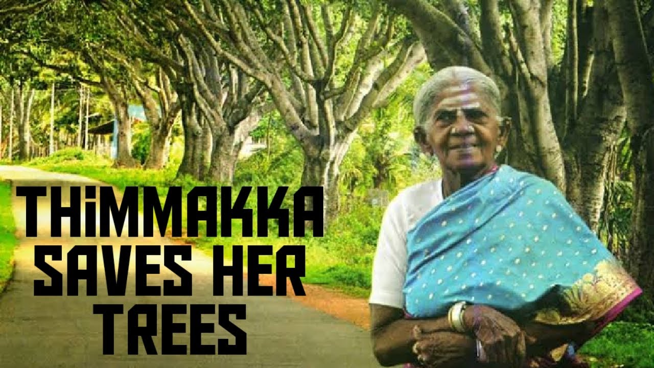 #Environment  : Karnataka CM saves 287 trees with `Padma Shri' Thimmakka