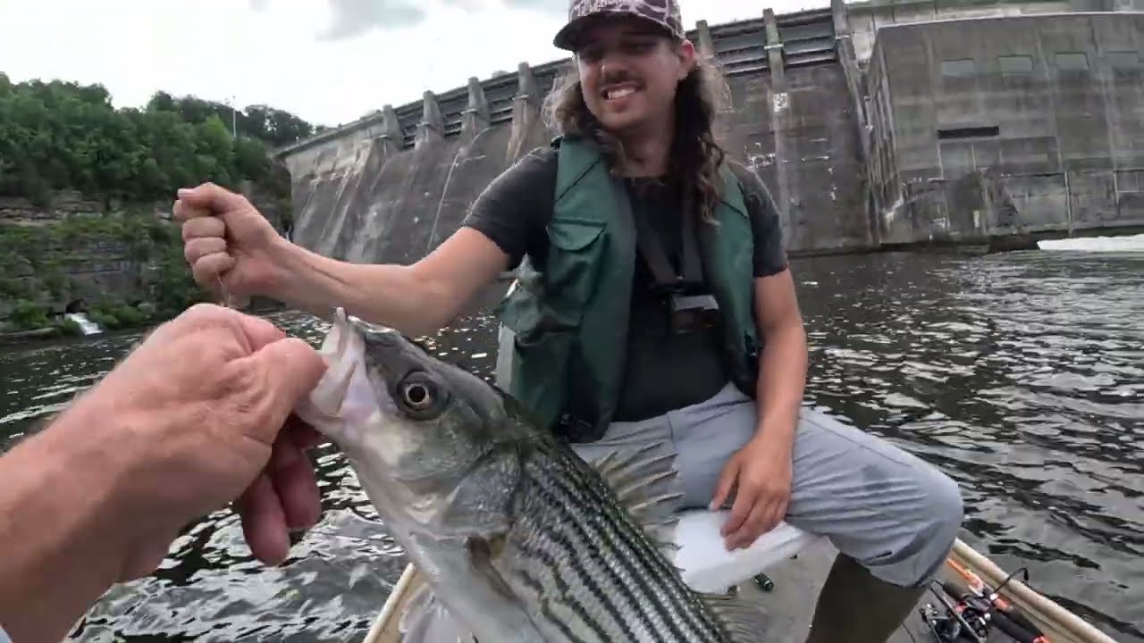 13 Species Fishing ON FIRE At Center Hill Dam, STRIPED BASS, WALLEYE, TROUT, CRAPPIE, TROPHIES!!!