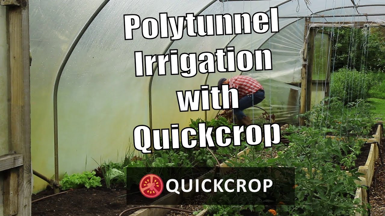 Политуннельное орошение с Quickcrop