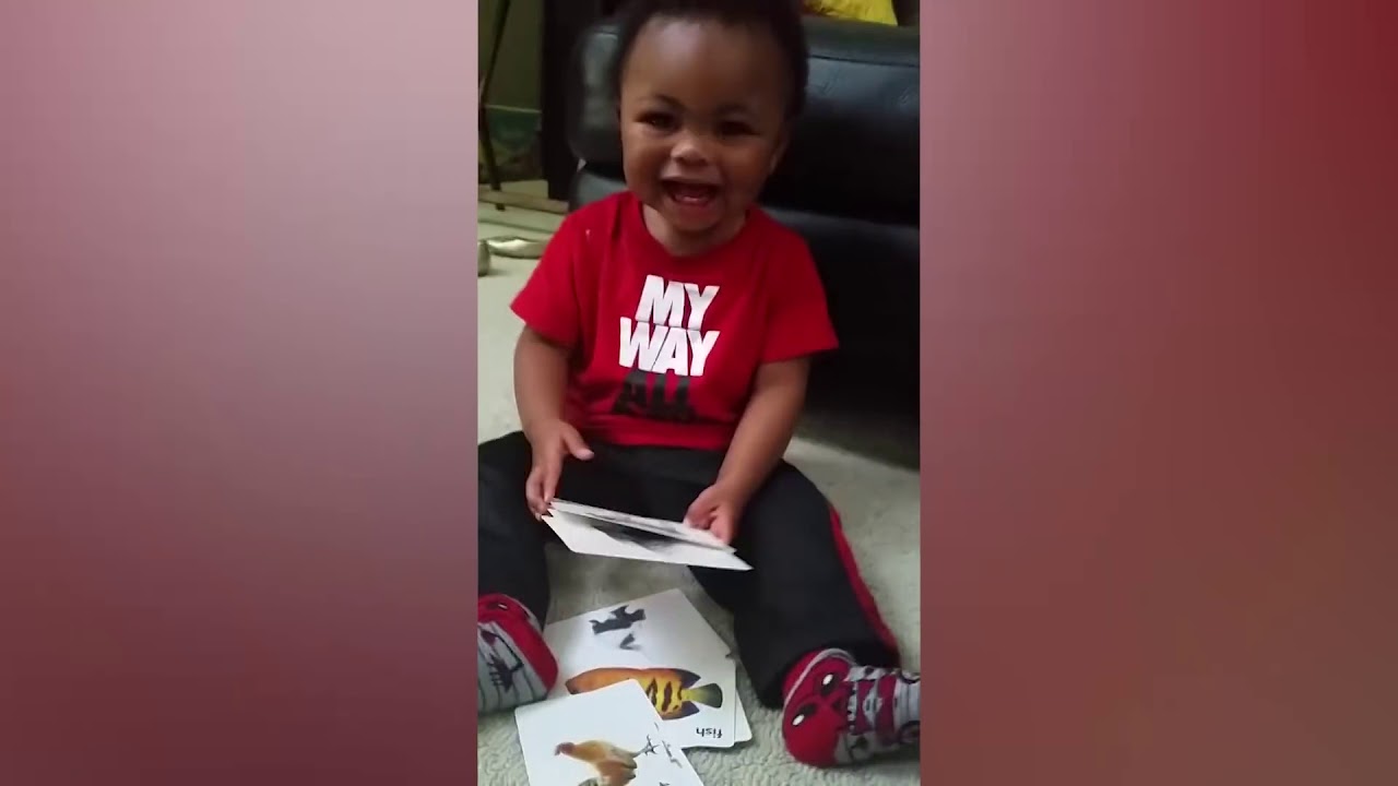 Best Of AFV   Winners Edition &brvbar; America's Funniest Home Videos